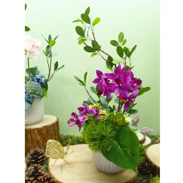 【HUGO DECO 榆果傢飾】雅緻桃紅蝴蝶蘭榕枝香氛花禮(擬真植物/人造盆栽/綠化/佈置/禮物)