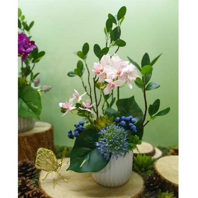 【HUGO DECO 榆果傢飾】雅緻粉蝴蝶蘭榕枝香氛花禮(擬真植物/人造盆栽/綠化/佈置/禮物)