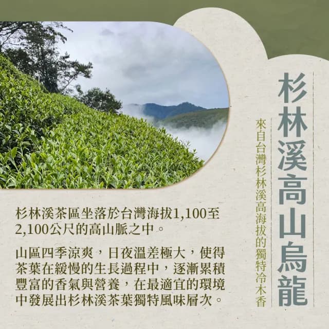 【名池茶業】杉林溪嚴選鮮採香韻烏龍茶150gx12包(杉香/蜜香)