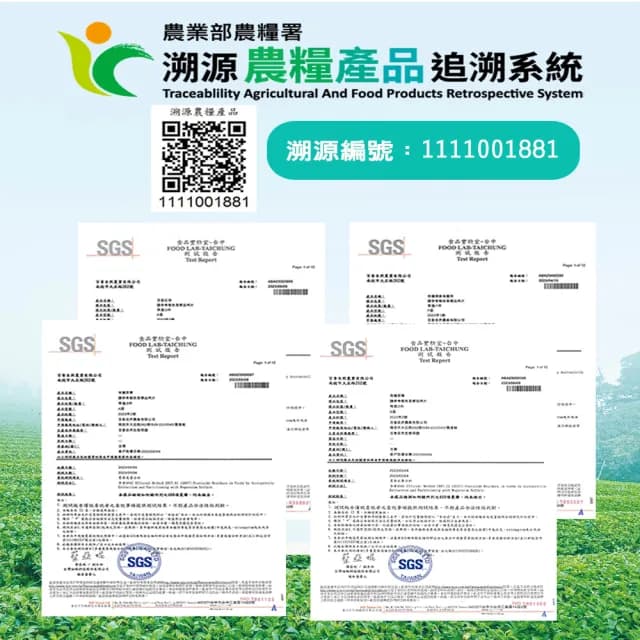 【百香】烏龍茶三角立體茶包3gx16入 2罐組 自然農法 茶包(100%台灣茶 百香茶葉 烏龍茶 茶包 年節送禮)