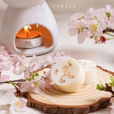 【The Forest 癒森林】春戀櫻花香氛蠟塊4入組23g*4 佛手柑+櫻花+白麝香(香氛蠟燭/居家香氛/香氛蠟塊)