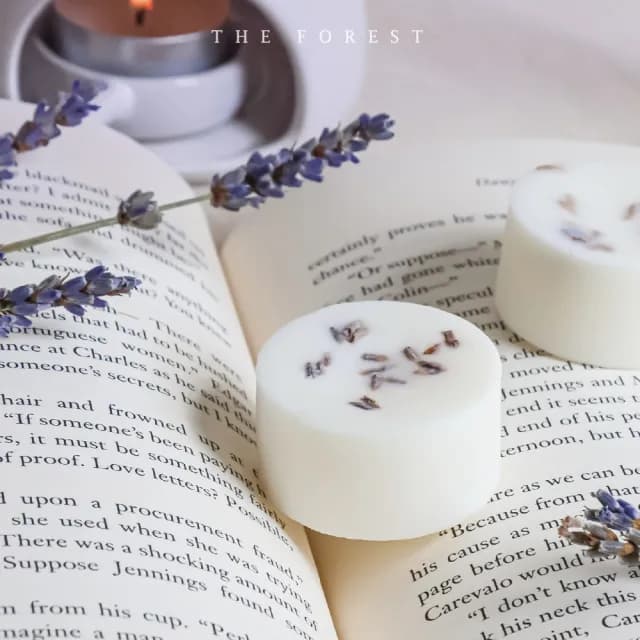 【The Forest 癒森林】癒森林薰衣草香氛蠟塊4入組23g*4 薰衣草+琥珀+雪松(香氛蠟燭/居家香氛/香氛蠟塊)