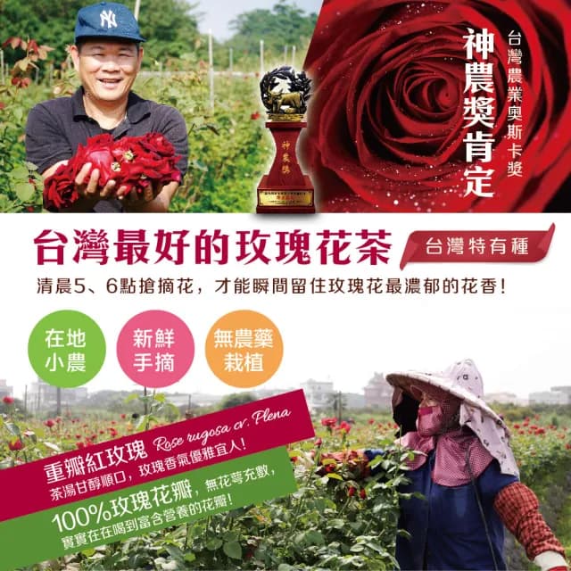 【慢悠仙】神農獎玫瑰花茶 20g 袋裝 * 3包(花瓣/每包可沖40壺/SGS無農藥/台灣花草茶/無咖啡因)