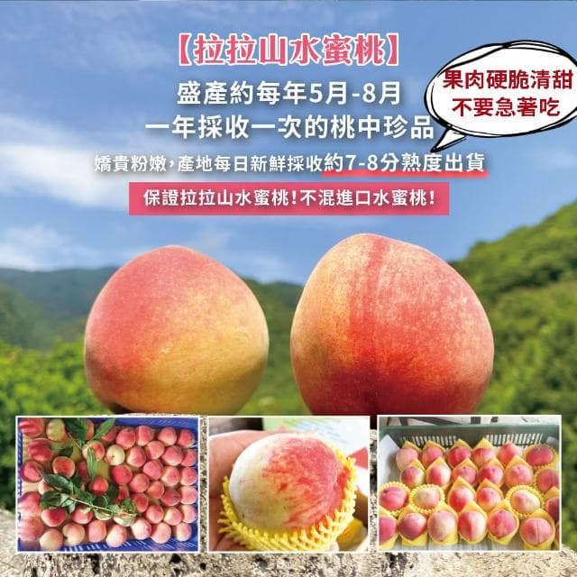 【初品果】拉拉山水蜜桃禮盒2盒 (10顆/盒) 2.4kg 產地直送 五月桃 媽媽桃 季節限定 企業送禮
