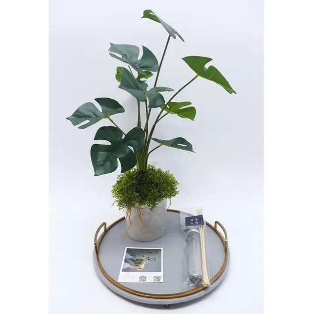 【HUGO DECO 榆果傢飾】擬真龜背芋 電信蘭香氛植栽 高款(擬真植物/人造盆栽/綠化/佈置/禮物)