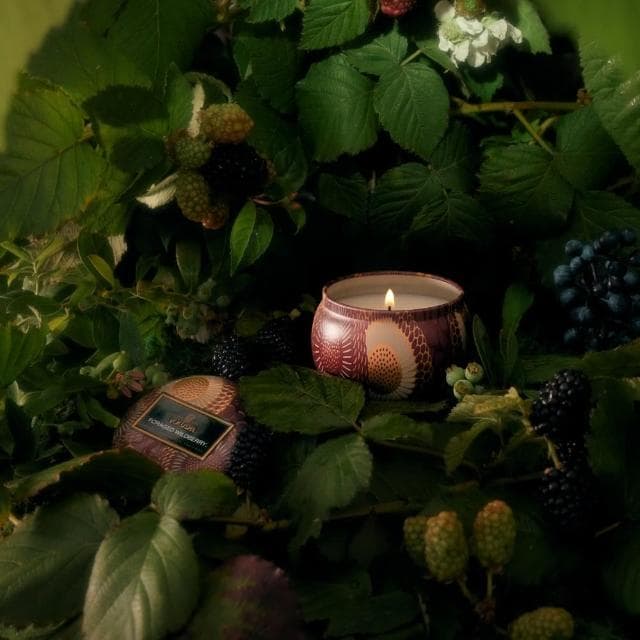 【VOLUSPA】日式庭園系列 葚野莓 迷你錫盒 4oz/113g(FORAGED WILDBERRY)