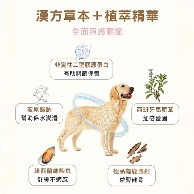 【HOMI 毛與家】好關膝 寵物關節保健粉-30包x3盒(狗關節保養 貓關節 狗軟骨素 狗保健品 貓保養品 犬貓適用)