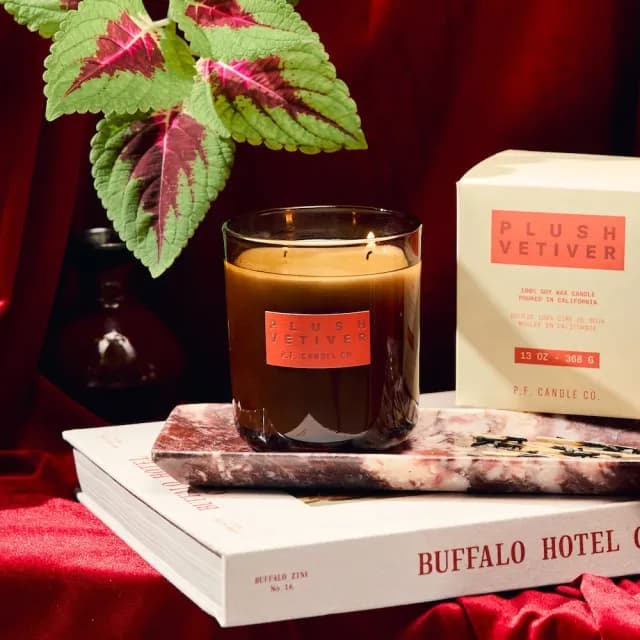 【P.F. CANDLE CO.】美國HI-FI手工香氛蠟燭13oz－細絨香根草(PLUSH VETIVER)