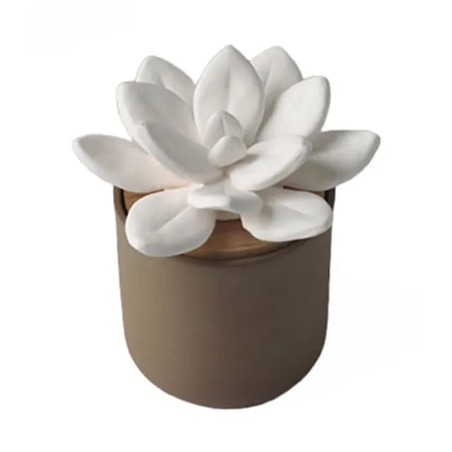 【KIDDEE TAMDEE】玉樹花擴香器組-麝香精油50ml