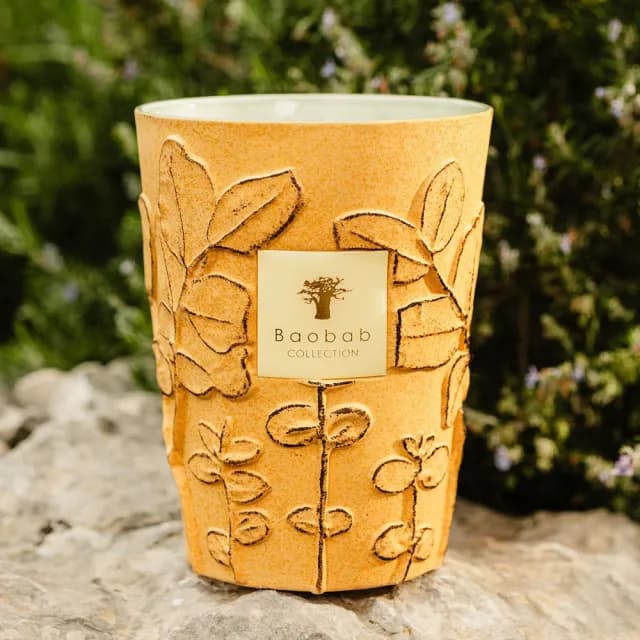 【Baobab Collection】香氛蠟燭1100g Garrigue/Folia 松葉之森