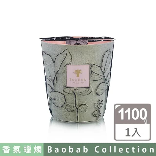 【Baobab Collection】香氛蠟燭1100g Maquis/Folia 灌木叢林