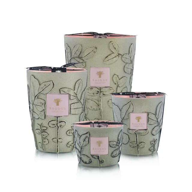 【Baobab Collection】香氛蠟燭500g Maquis/Folia 灌木叢林
