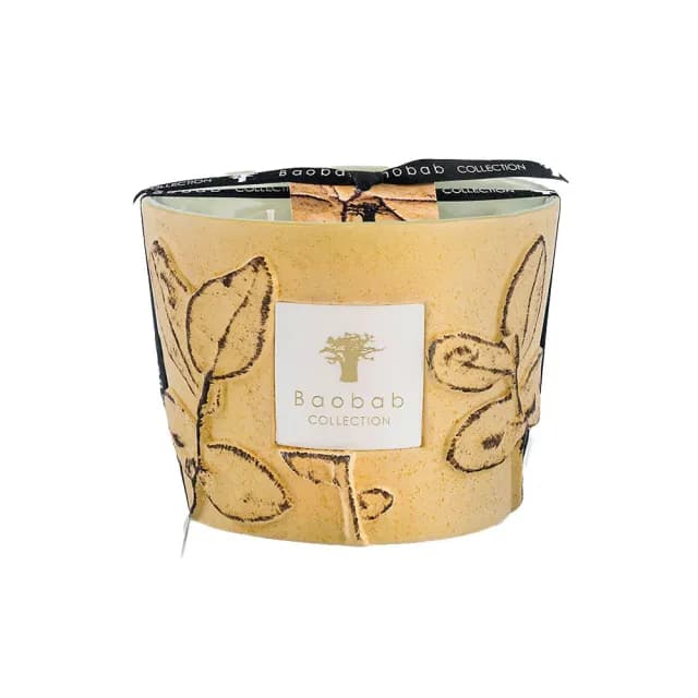 【Baobab Collection】香氛蠟燭500g Garrigue/Folia 松葉之森
