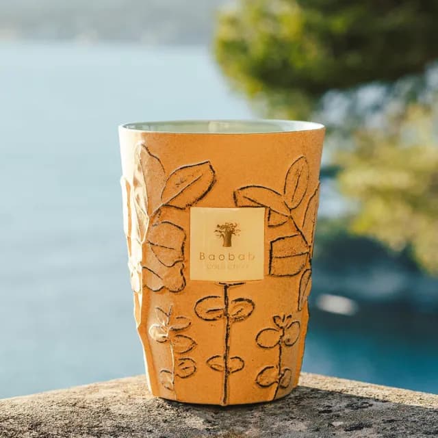 【Baobab Collection】香氛蠟燭500g Garrigue/Folia 松葉之森