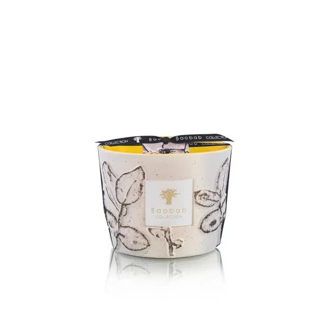 【Baobab Collection】香氛蠟燭500g Calanque/Folia 地中海語