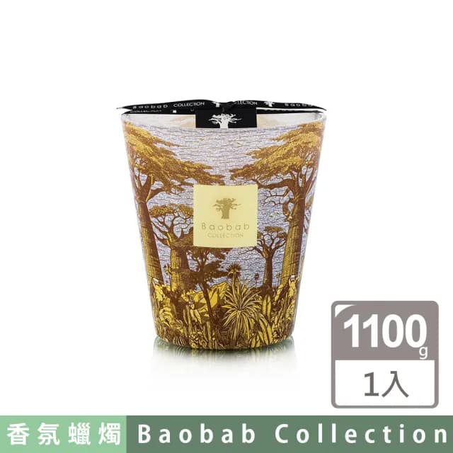 【Baobab Collection】香氛蠟燭1100g Cocody /Sacred Trees Summer 可可森林