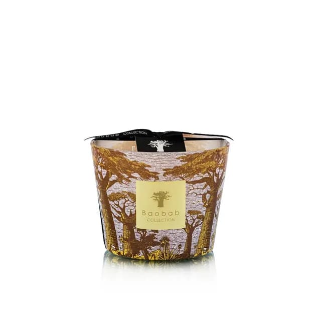 【Baobab Collection】香氛蠟燭500g Cocody /Sacred Trees Summer 可可森林