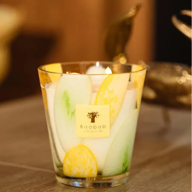 【Baobab Collection】香氛蠟燭1100g Santo Sospir/Riviera 神聖氣息