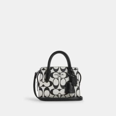 【COACH】蔻馳官方直營 ANDREACARRYALL經典Logo迷你手袋-銀色硬體/白堊彩(CO973)