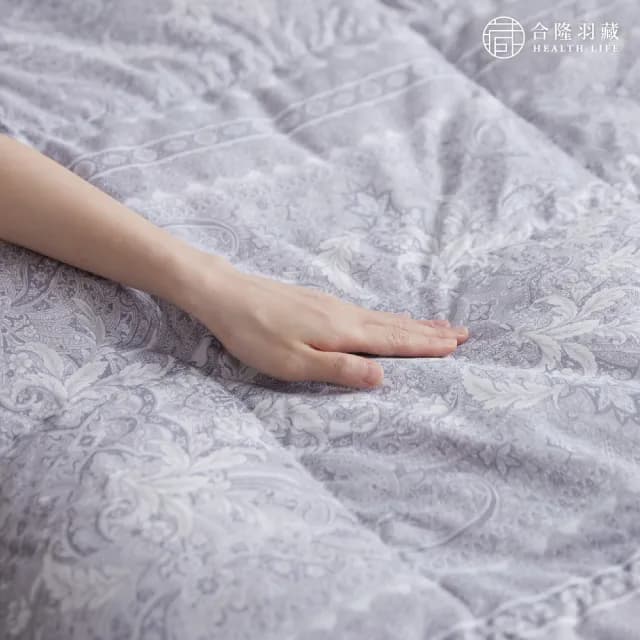 【HEALTH LIFE 合隆羽藏】羽絨の夏眠被(可水洗)