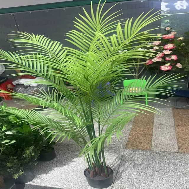 【POKO】仿真景觀樹散尾葵 高仿真160公分大型盆栽(針葵樹 景觀室內外裝飾 人工植物 家居 園藝 裝飾造景)