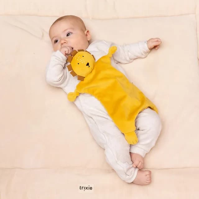 【Trixie 比利時】動物造型寶寶安撫巾 多款可選(口水巾 安撫玩偶 彌月禮)
