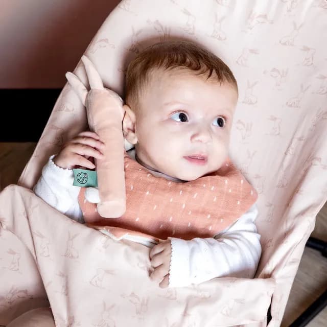 【Trixie 比利時】動物造型好好握啾啾棒 多款可選(安撫玩具 彌月禮)