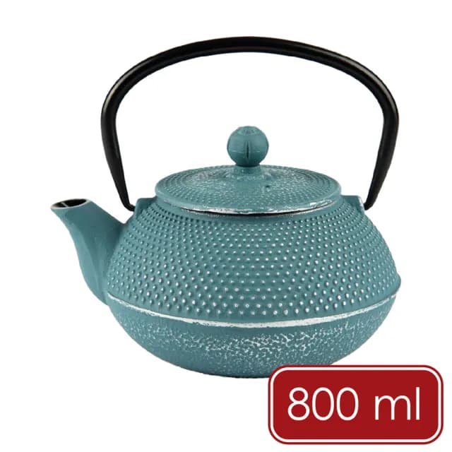 【EXCELSA】Oriented鑄鐵濾茶壺 綠松石800ml  / 茶具 煮茶壺 日式茶壺 燒水壺 鑄鐵茶壺