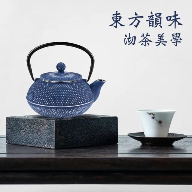 【EXCELSA】Oriented鑄鐵濾茶壺 青金石藍800ml  / 茶具 煮茶壺 日式茶壺 燒水壺 鑄鐵茶壺