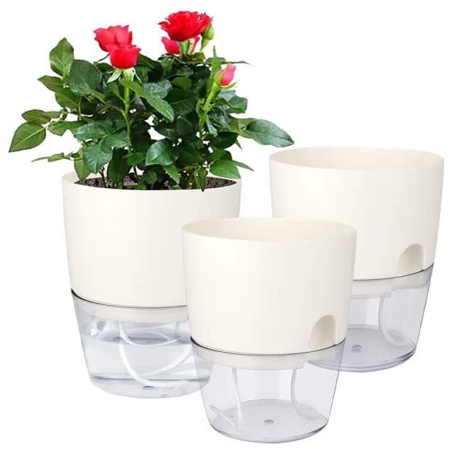 【京太陽】透明自吸水花盆3.15吋A705(懶人花盆 自動澆水 吸水花盆 透明花盆 盆栽 植物花盆)