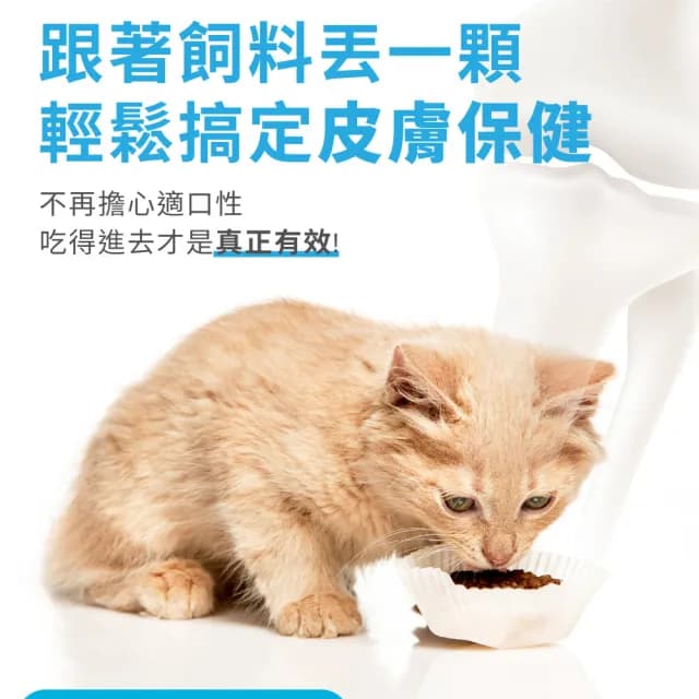 【OurPet 奧沛】貓用膚沛錠x1瓶(30顆、貓皮膚保健食品 寵物皮膚保養 玻尿酸 神經醯胺 乳酸菌 酵母鋅)