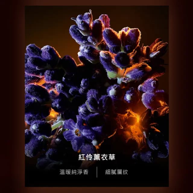 【YSL】官方直營自由不羈 恣意燃花淡香精 90ML(奔放花草香調/香水)