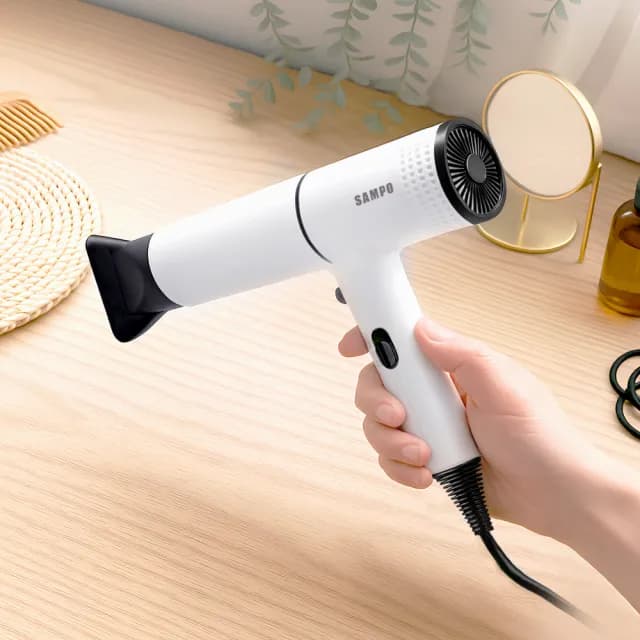 【SAMPO 聲寶】等離子吹風機(ED-B24101FL)