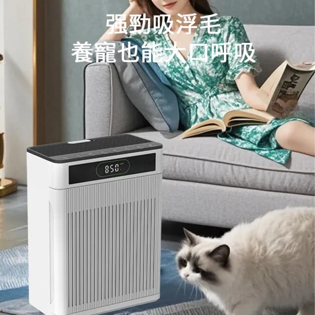 【IPSKY】全自動寵物空氣清淨機-濾網兩套(專用吸浮毛 殺菌除臭 負離子空氣凈化器 寵物清淨機 寵物吸毛機)