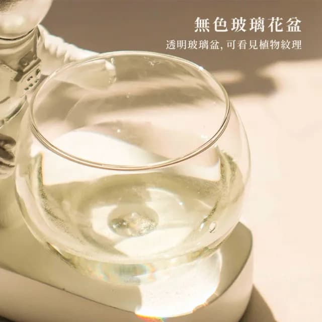 【Finger Pop 指選好物】宇宙人花瓶(桌上花瓶 情人節禮物)