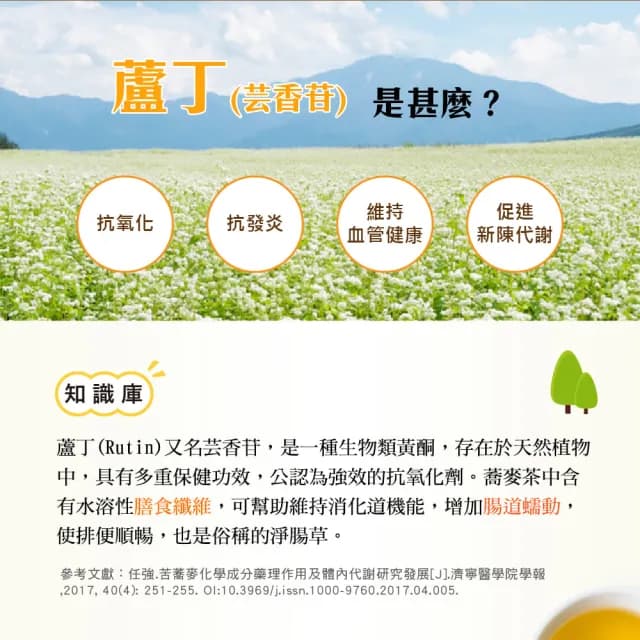 【High Tea】黃金蕎麥茶6gx15入x5袋(100%台灣韃靼種黃金蕎麥)