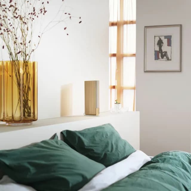 【B&O】Beosound Emerge WiFi家用音響 香檳金