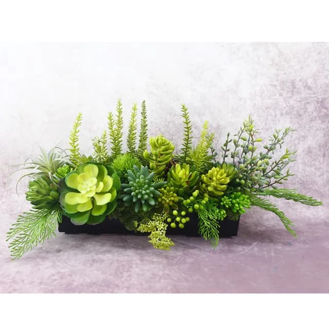【HUGO DECO 榆果傢飾】多肉植物組合香氛植栽  免運專人配送限雙北市(開幕/擬真花/佈置/新居落成/送禮)
