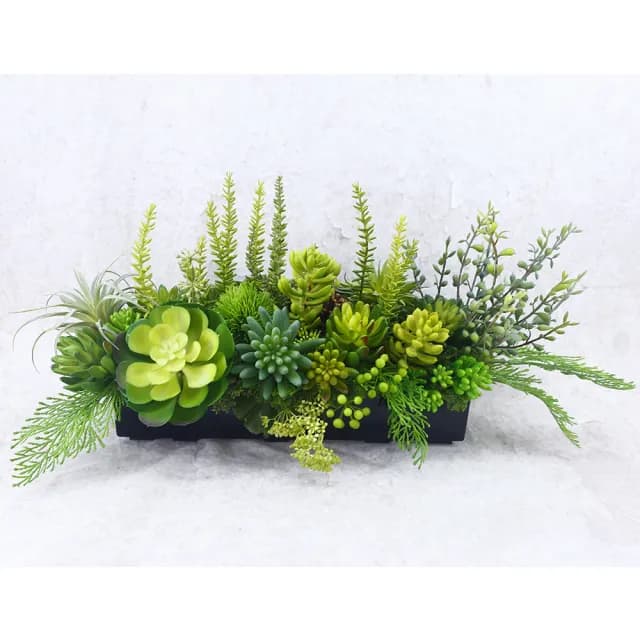 【HUGO DECO 榆果傢飾】多肉植物組合香氛植栽  免運專人配送限雙北市(開幕/擬真花/佈置/新居落成/送禮)