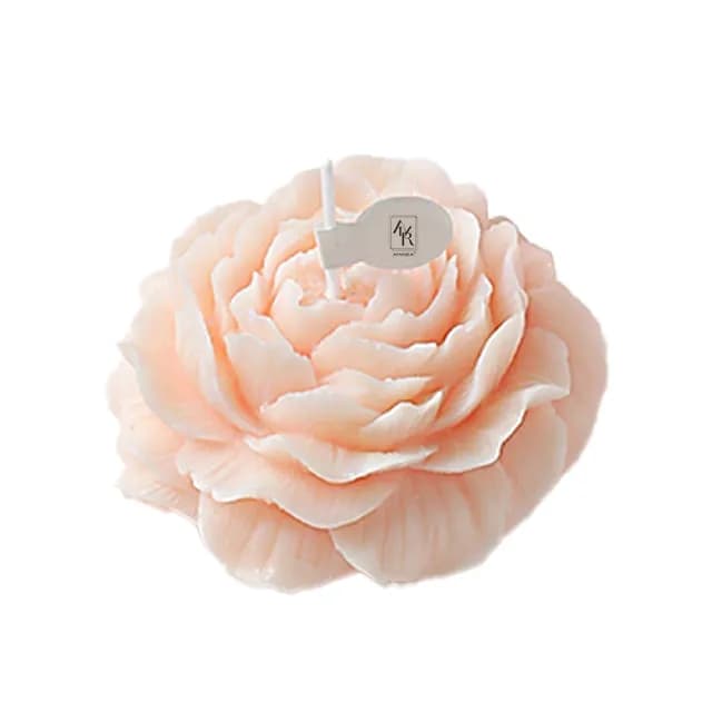 【AMARA】花開為妳系列蠟燭(香氛蠟燭 花 生日 聖誕 交換 情人節禮物)