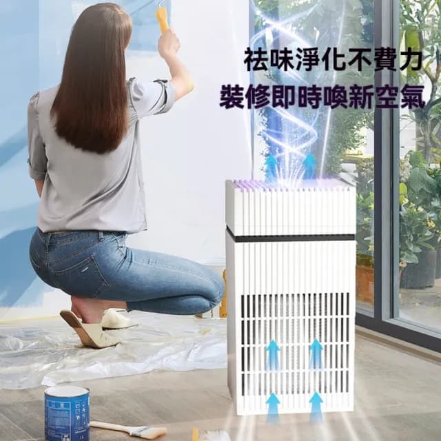 【OSLE 歐適樂】高效除異味濕悶天的救星 煙味 異味強效清除家用空氣淨化器