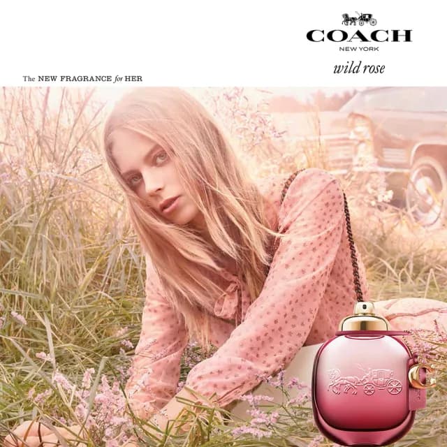 【COACH】曠野玫瑰淡香精30ml(贈隨機小香乙瓶.專櫃公司貨)