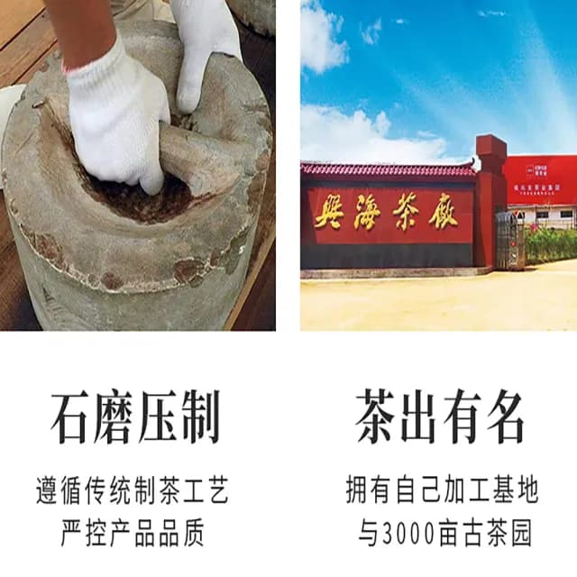 【盛嘉源】興海茶廠 狗年生肖紀念茶 金狗旺財  2018(普洱茶   生茶   357g)