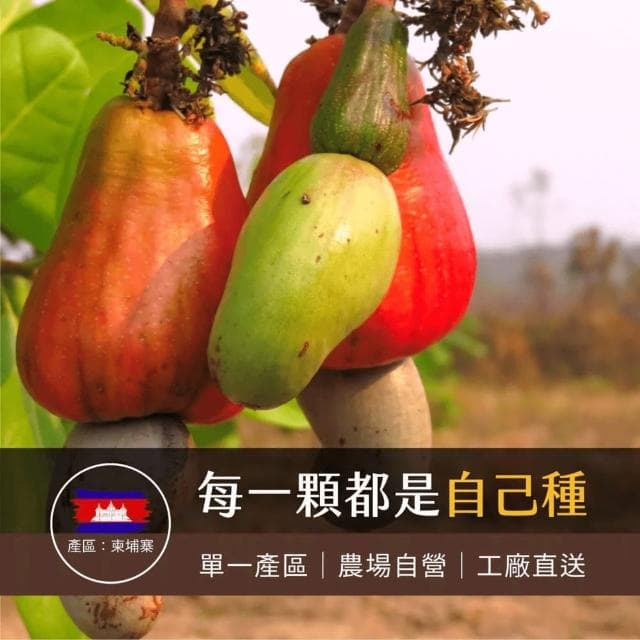 【Welwel微兒微兒】原味低溫烘焙腰果260gX2包(堅果/腰果/素食/原味/低溫烘焙/中秋送禮/送禮推薦)