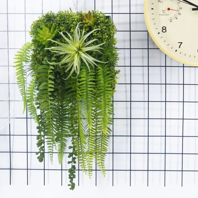 【HUGO DECO 榆果傢飾】空氣鳳梨蕨葉植生框(擬真植栽/擬真植物/電箱佈置/居家佈置/壁面裝飾)