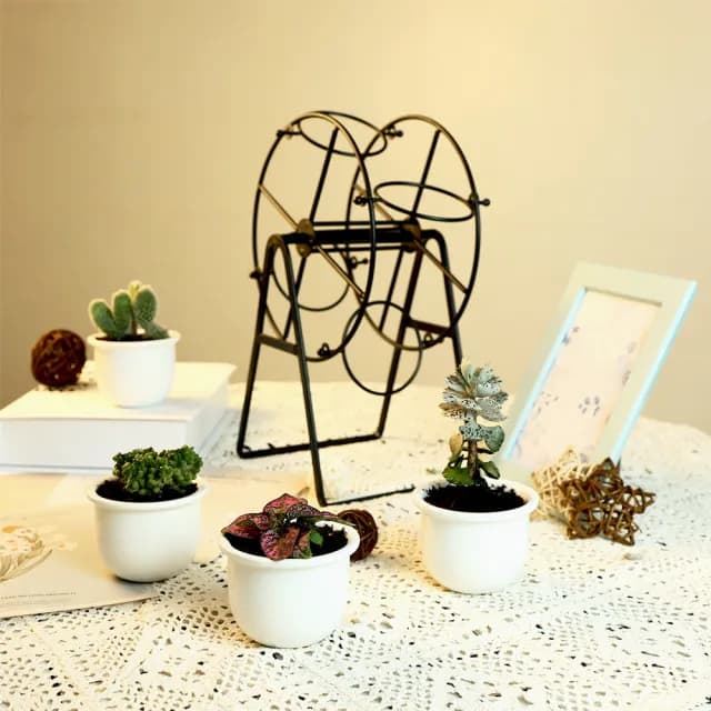 【園藝蒔光】摩天輪花器(花盆 花架 盆栽 多肉 白瓷 觀葉植物)
