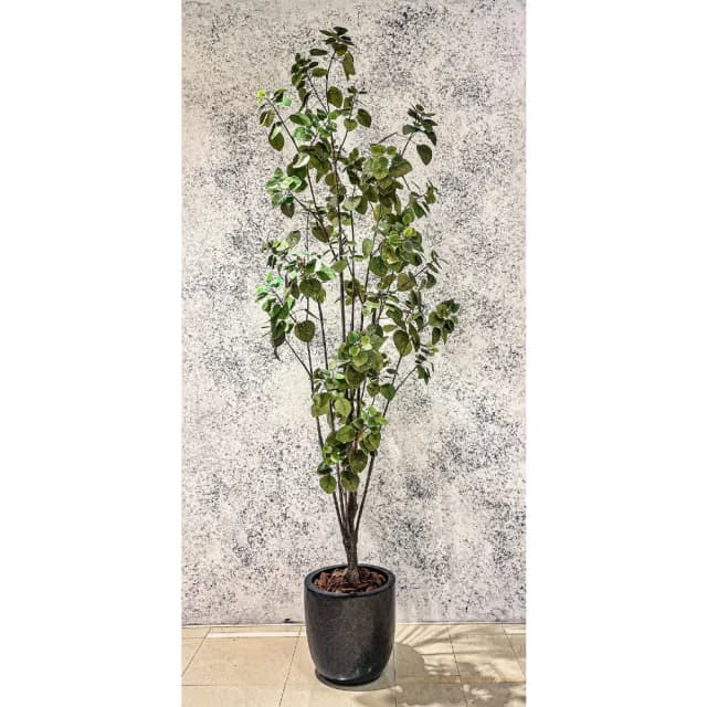 【HUGO DECO 榆果傢飾】擬真綠石榴樹植栽 免運專人配送限雙北市(仿真盆栽/綠化植物)