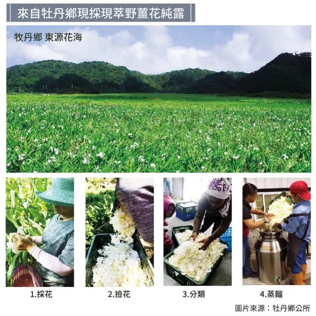 【MPB 巴黎小姐】星座香氛護手霜 3入組(護手霜 護手乳 聖誕節禮物 天然 野薑花 MIT 秋冬手部保養)