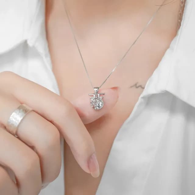 【Porabella】925純銀鋯石星座項鍊 俏皮12星座鋯石項鍊 交換禮物 生日禮物 Zodiac Necklace
