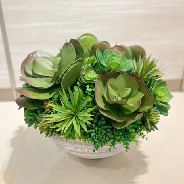 【HUGO DECO 榆果傢飾】特級擬真唐印多肉植栽組合 免運專人配送限雙北市(人造植栽/仿真植物/綠化/佈置)